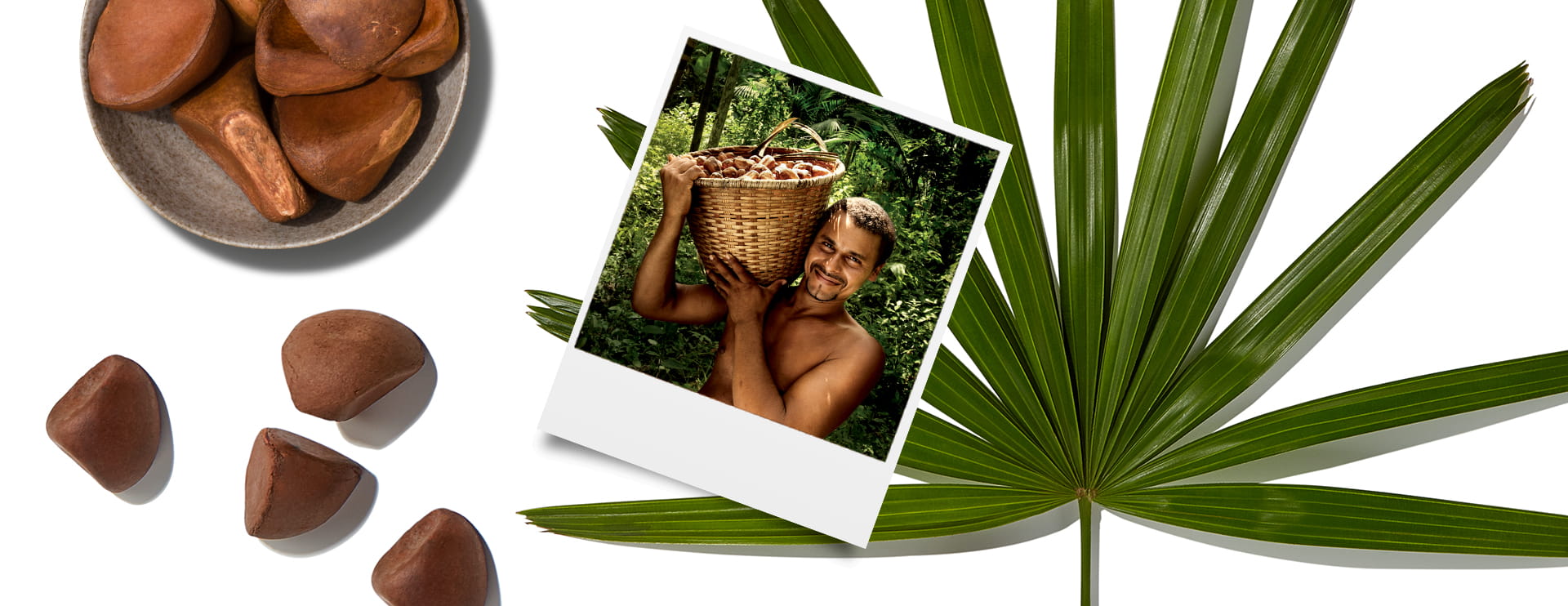 Andiroba: The Amazon’s Restorative Oil