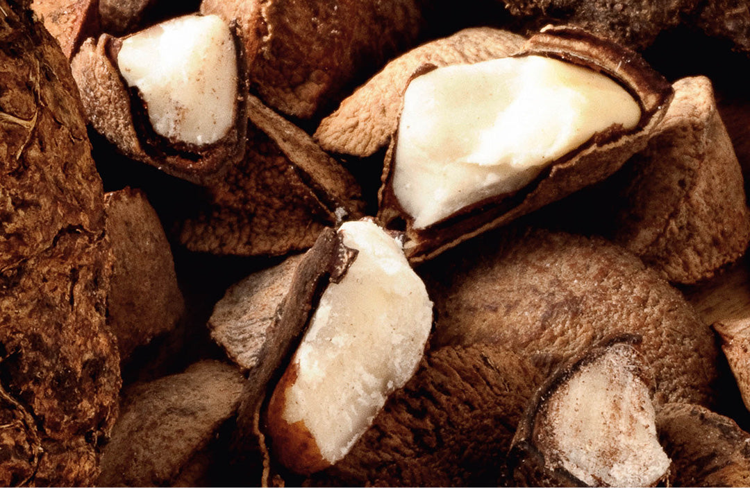 Natura Brasil - Ekos Castanha