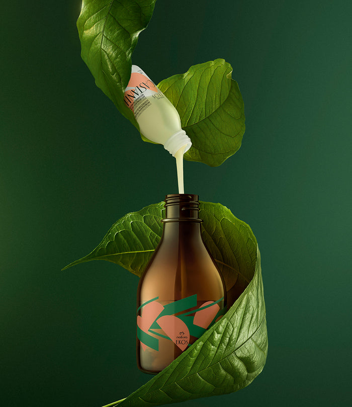 Ekos Castanha Body Lotion Concentrate Kit_mobile