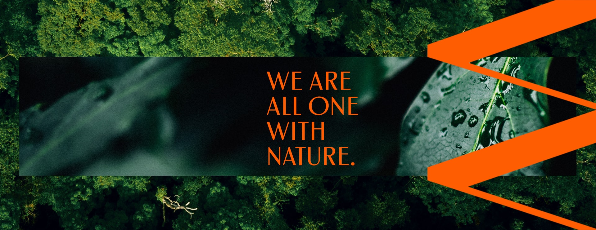 #EarthDay - Everything is Nature