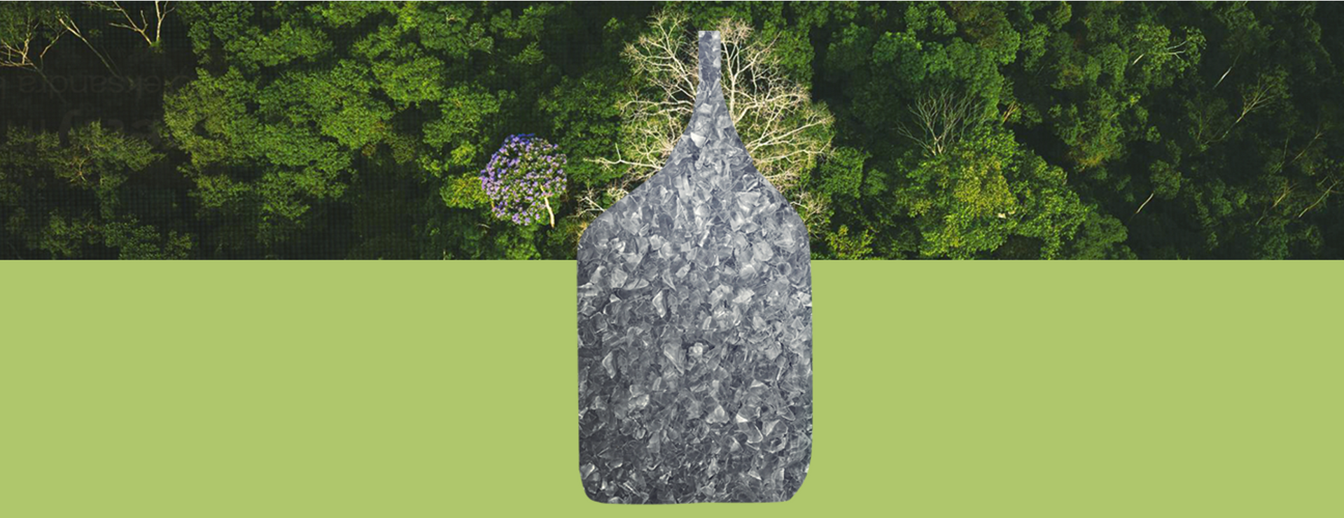 Refills: why this eco-logical packaging helps to care for the planet