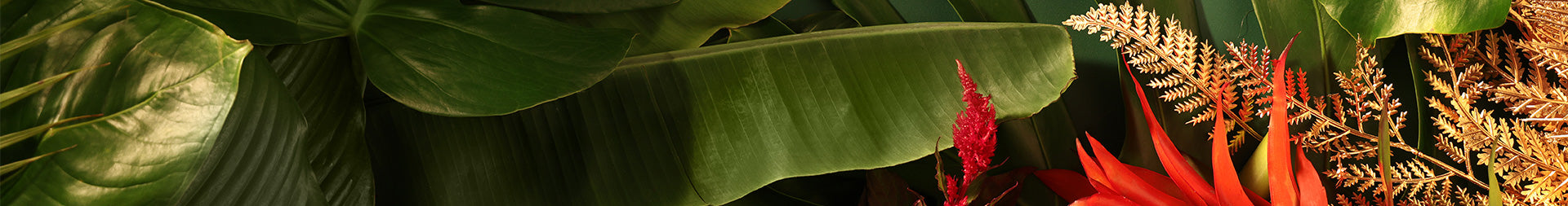 Natura Holiday Gift Sets 2025