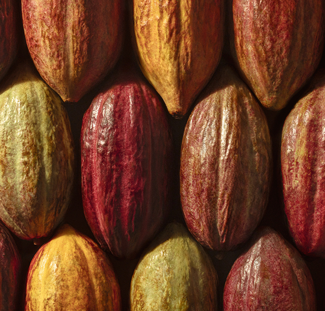 Natura Brasil - Ekos Cacau