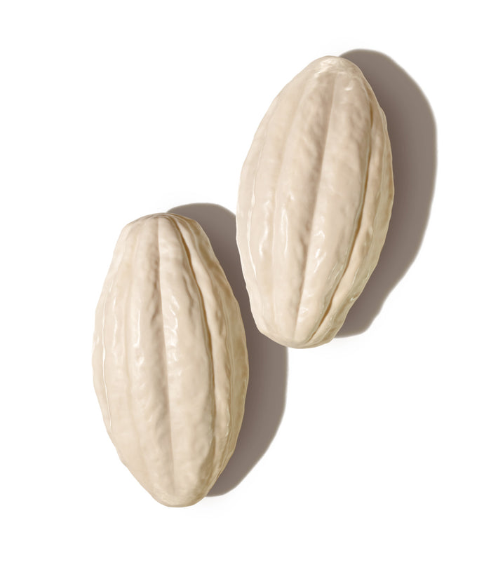 Ekos Cacau Creamy Monopack Bar Soap Set_mobile