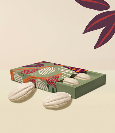 Ekos Cacau Creamy Monopack Bar Soap Set_mobile