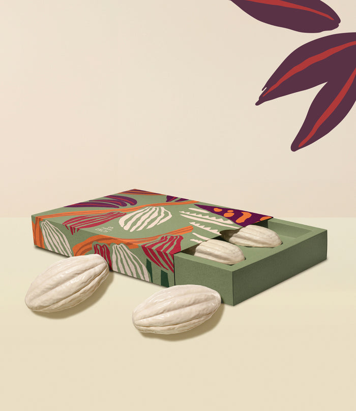 Ekos Cacau Creamy Monopack Bar Soap Set_mobile