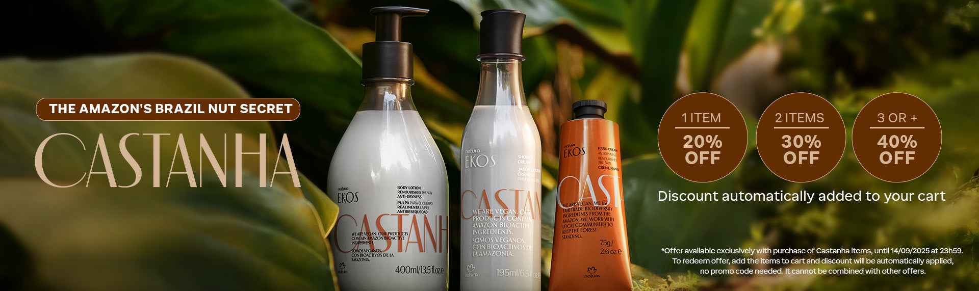 Castanha: Progressive Offer