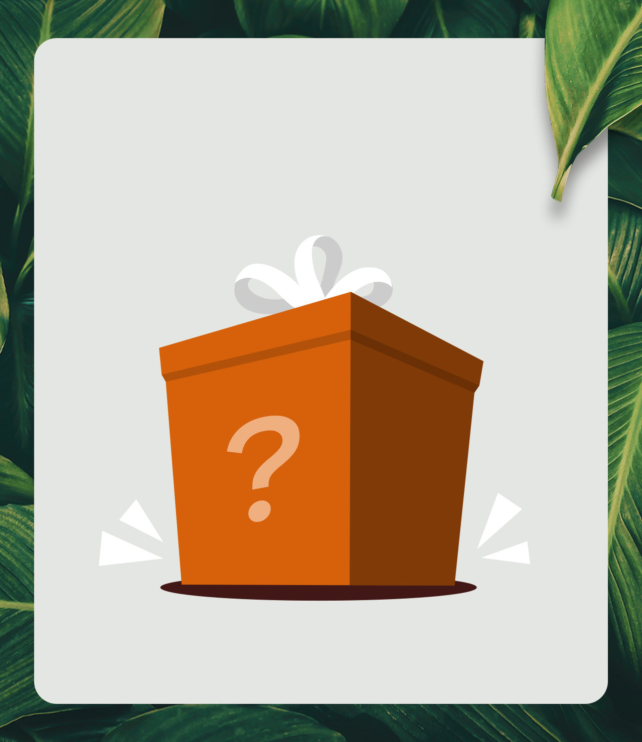 New Year Mystery Offer