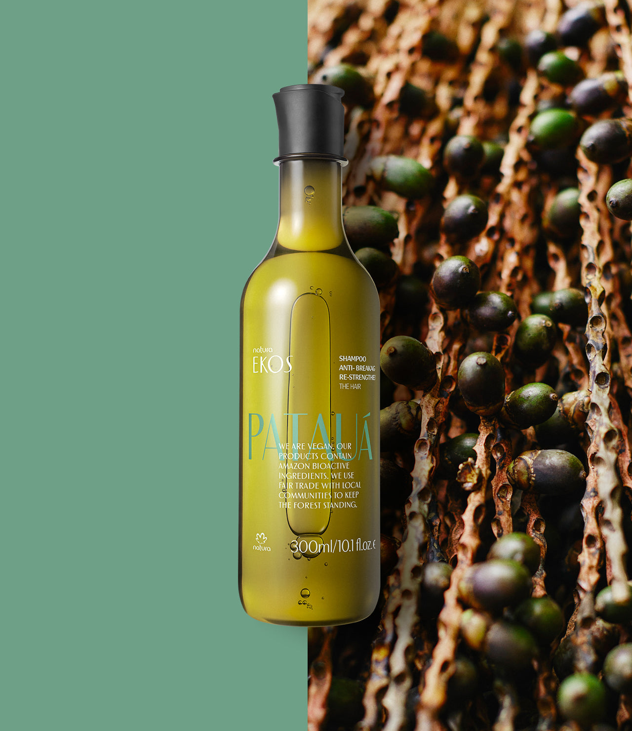 Shampooing Ekos Patauá anti-casse et renforçant pour cheveux