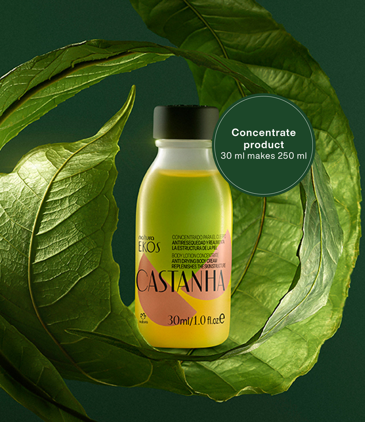 Kit de Loción Corporal Concentrada Recarga Ekos Castanha