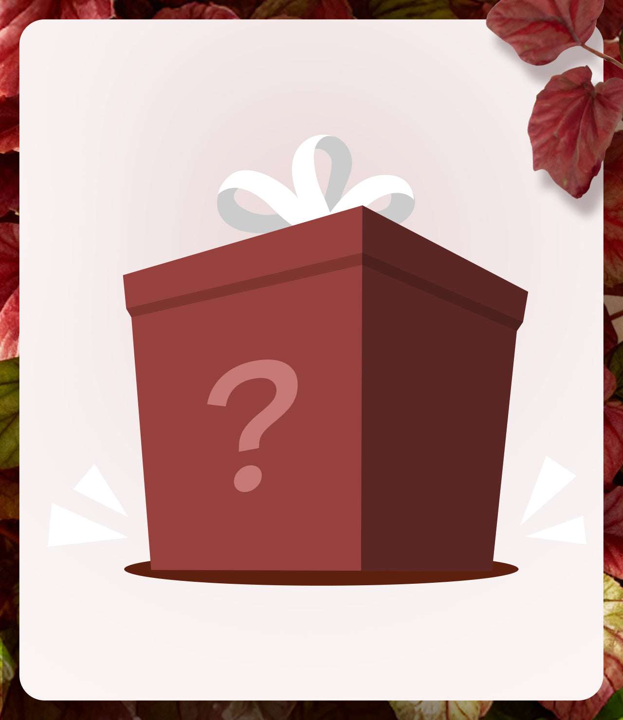 Winter Wellness Mystery Offer